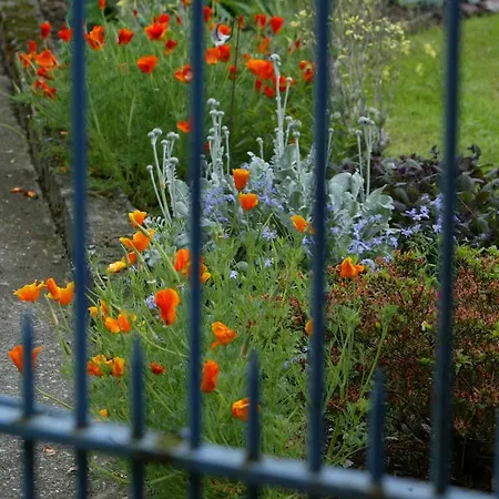 Gites Vallee D'ossau - Les Jardins Du Cot