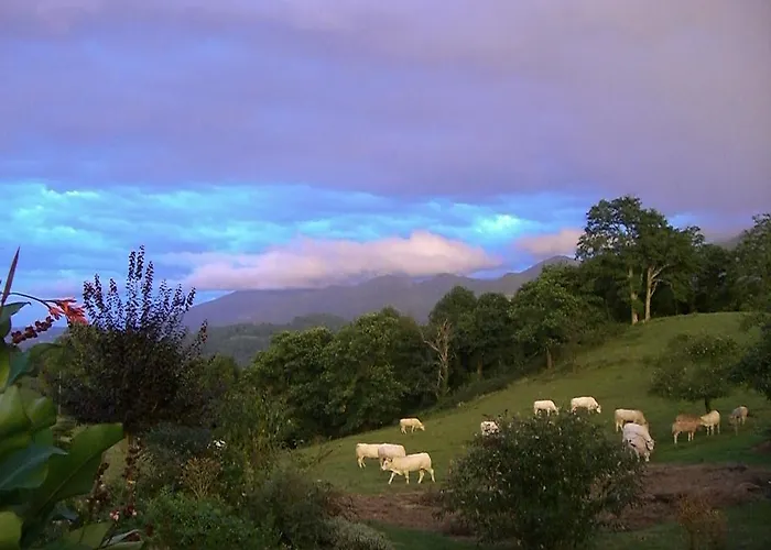 Gites Vallee D'ossau - Les Jardins Du Cot