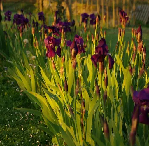 Gites Vallee D'ossau - Les Jardins Du Cot